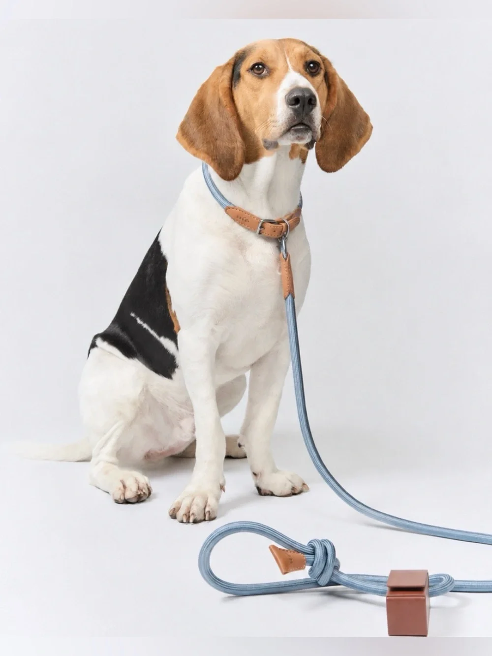NWT Boo Oh Ray Italian Leather Collar & Silk Rayon Rope Leash Set for Dogs Sz M